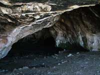 Immagine Progetto Magnifico